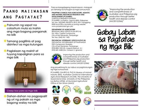 halamang gamot sa pagtatae ng biik|Mabisang gamot para sa nagtataeng baboy or .